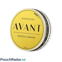 Avant Tropical Banana Strong