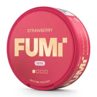 FUMi Strawberry Mini Regular