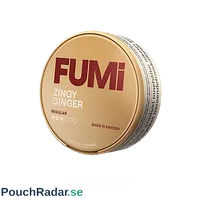 FUMi Zingy Ginger Regular