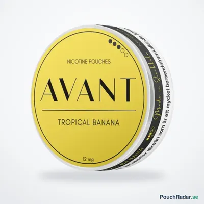 Avant Tropical Banana