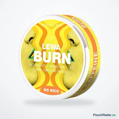LEWA BURN Citrus Mint