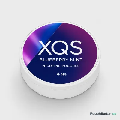 XQS Blueberry Mint 4mg