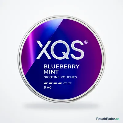XQS Blueberry Mint Strong 8mg