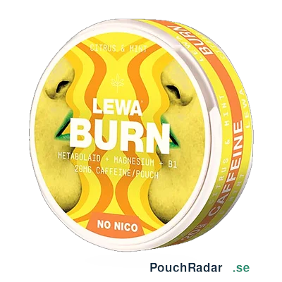 LEWA BURN Citrus Mint