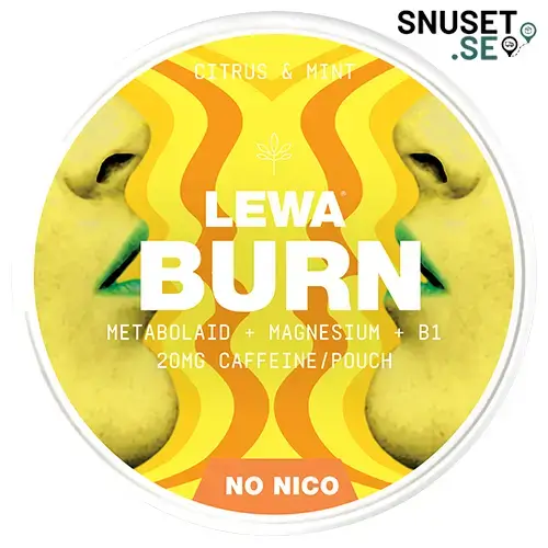 LEWA Burn Functional Citrus Mint