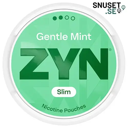 Loop Hot Peach Mini 2