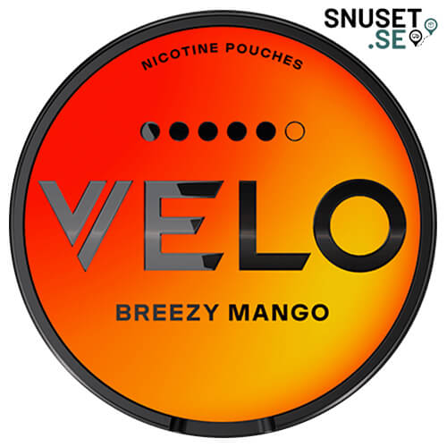 Terea Turquoise Selection