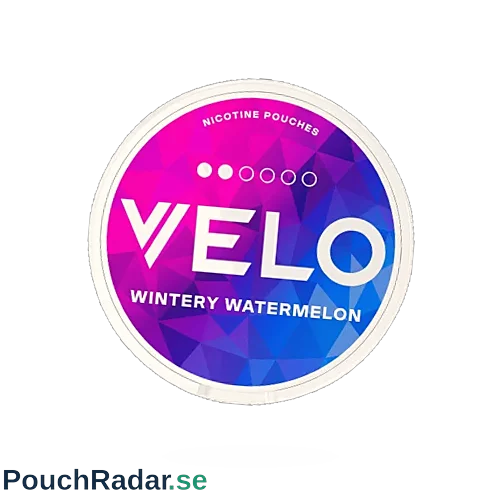 Velo Wintery Watermelon Mini
