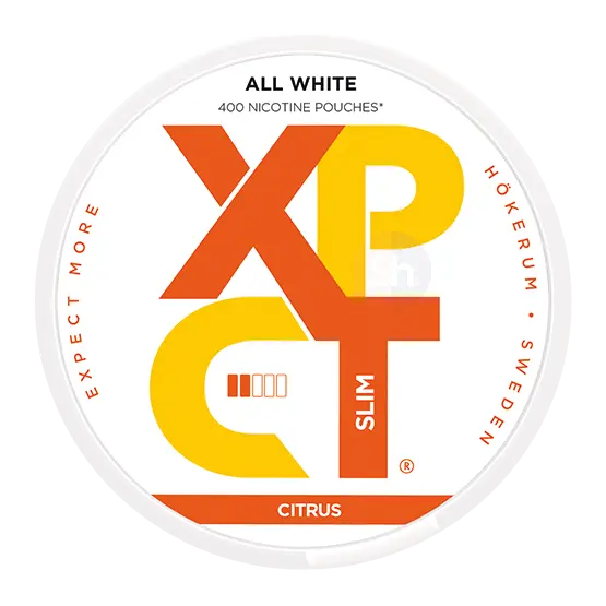 X-15 Mint Portion Snussats