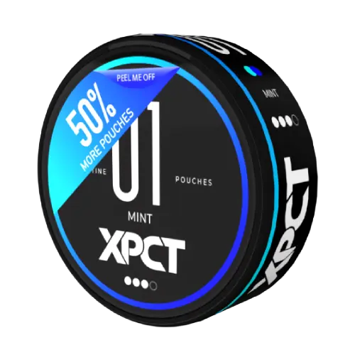 X-15 Special Portion Snussats