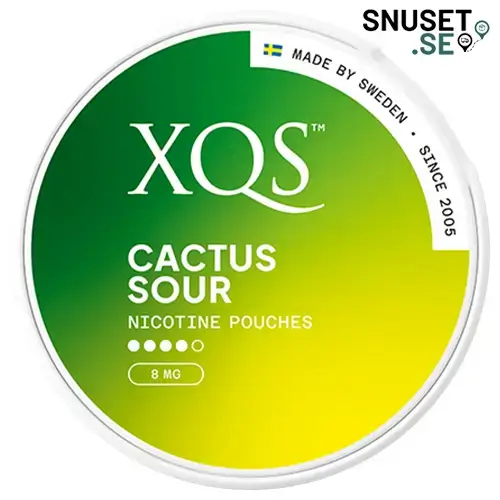 XPCT Tube Cactus / Pear