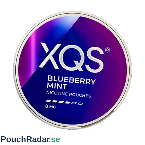 XQS Blueberry Mint Strong