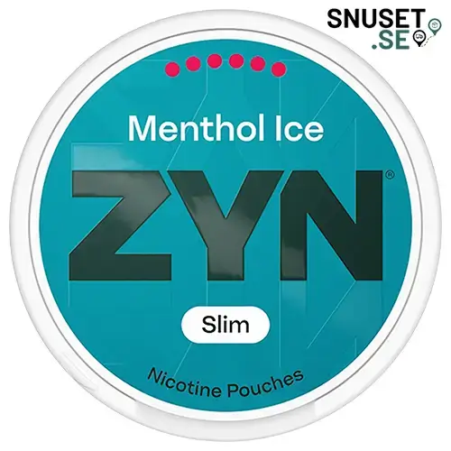 Zyn Cactus Spice Slim 4